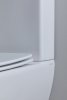 Чаша унитаза Aquanet Fine Rimless FINE-C Soft Close